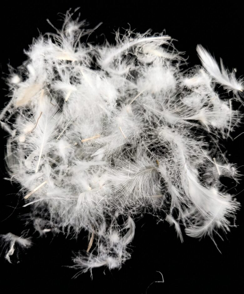 Feather mix 30/70, 100g