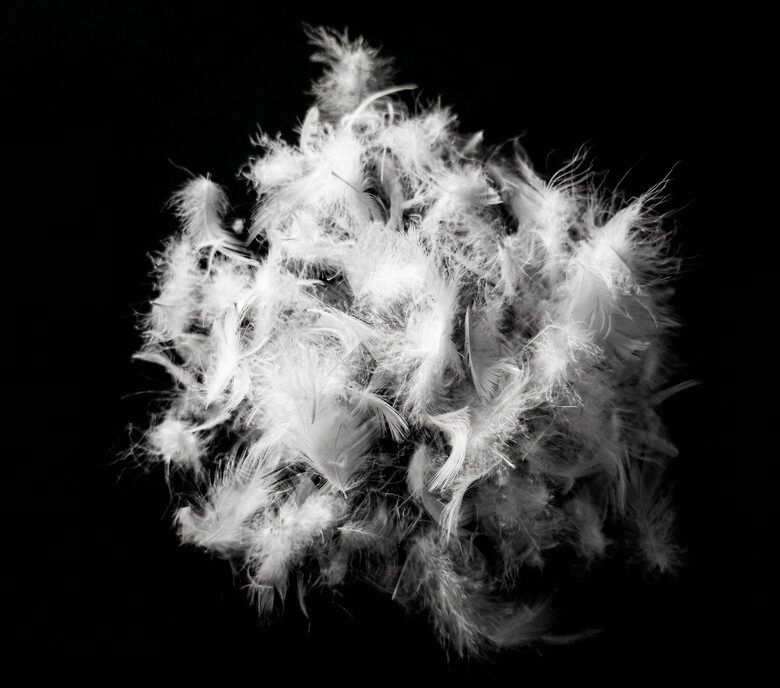 Feather mix 50/50, 100g