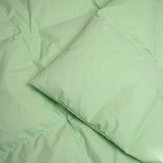 30/70 down duvet - green N4
